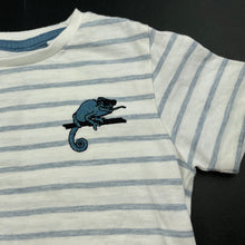 Load image into Gallery viewer, Boys Target, cotton t-shirt / top, chameleon, FUC, size 4,  