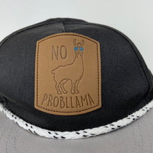 Load image into Gallery viewer, Boys Baby Berry, cotton baseball cap/hat, llama, EUC, size 000-00,  