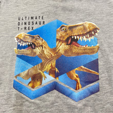 Load image into Gallery viewer, Boys Target, lightweight t-shirt / top, dinosaurs, FUC, size 6,  