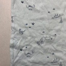 Load image into Gallery viewer, Boys Target, green cotton singlet top, dinosaurs, EUC, size 2-3,  