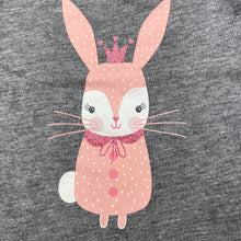 Load image into Gallery viewer, Girls Target, grey long sleeve t-shirt / top, rabbit, FUC, size 2,  